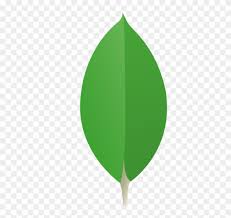 MongoDB